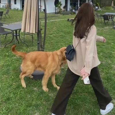 福尔摩斯小姐详细介绍